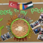Proiect eTwinning