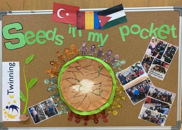 Proiect eTwinning