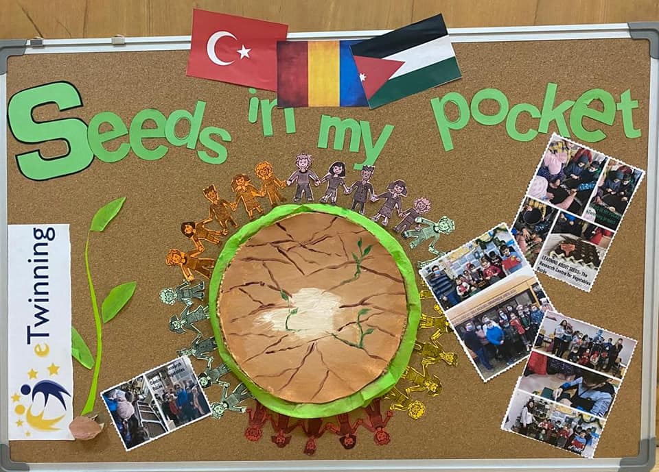 Proiect eTwinning